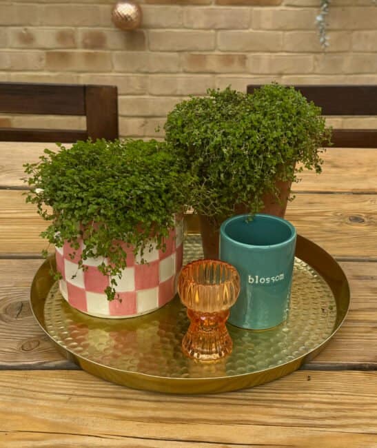 Courtyard Details: Styling the Perfect Summer Tray Garden Display