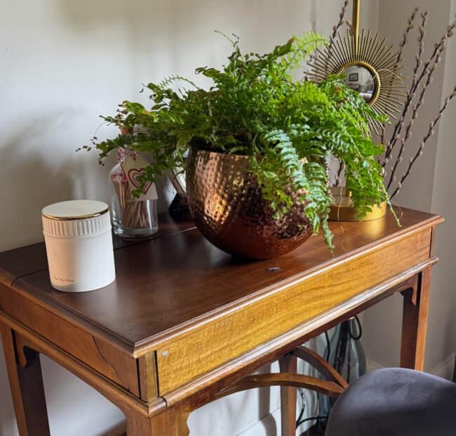 Hallway Styling: Warm Metallics and Rich Textures Fern on Table